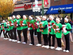 Bowling Green Holiday Parade